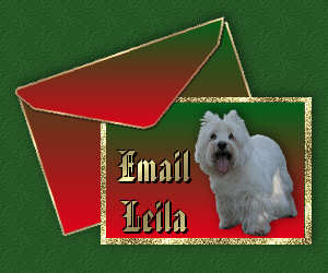 Email Leila